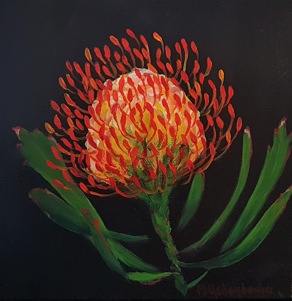 Protea 6